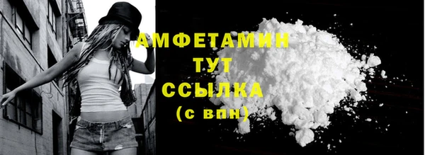 молекула духа Киреевск