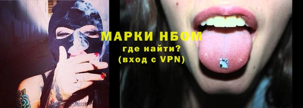 шишки Киренск