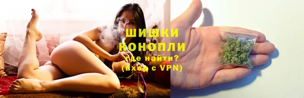 шишки Киренск