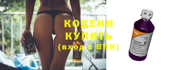 молекула духа Киреевск