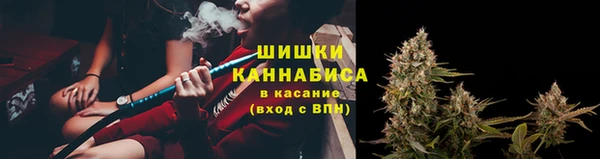 шишки Киренск