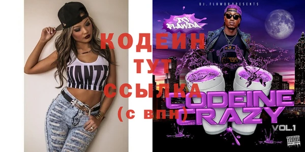 шишки Киренск