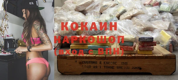 шишки Киренск